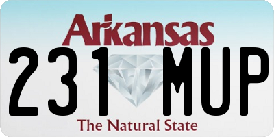 AR license plate 231MUP