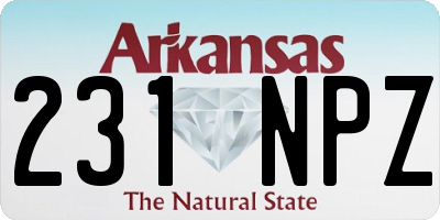 AR license plate 231NPZ