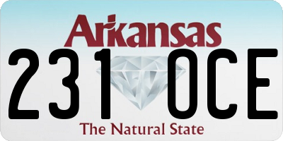 AR license plate 231OCE