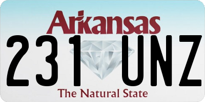 AR license plate 231UNZ
