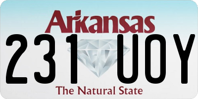 AR license plate 231UOY