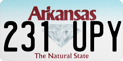 AR license plate 231UPY