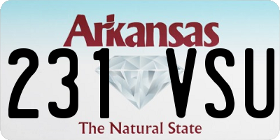 AR license plate 231VSU
