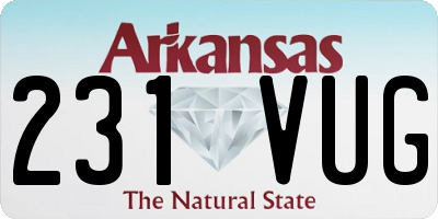 AR license plate 231VUG