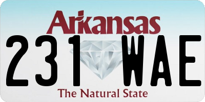 AR license plate 231WAE