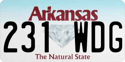 AR license plate 231WDG