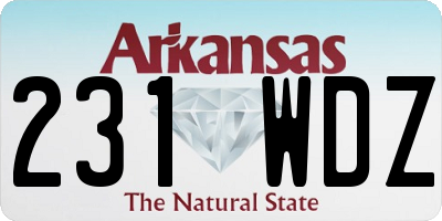 AR license plate 231WDZ