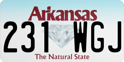 AR license plate 231WGJ