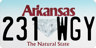 AR license plate 231WGY