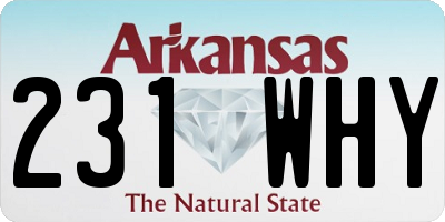 AR license plate 231WHY