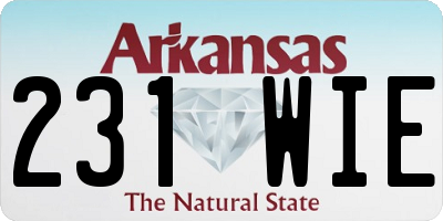 AR license plate 231WIE