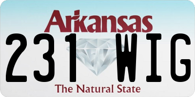 AR license plate 231WIG