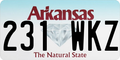 AR license plate 231WKZ
