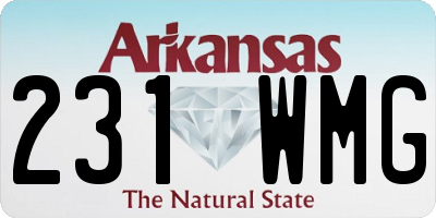 AR license plate 231WMG
