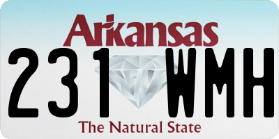 AR license plate 231WMH