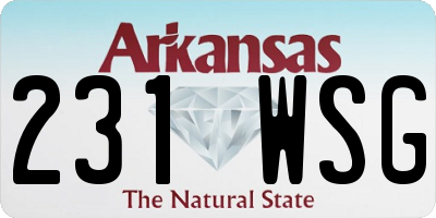 AR license plate 231WSG