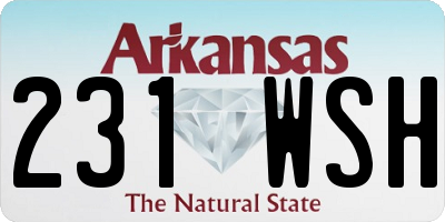 AR license plate 231WSH