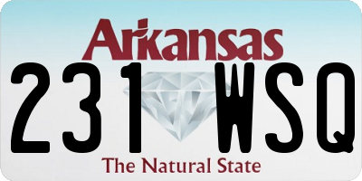 AR license plate 231WSQ