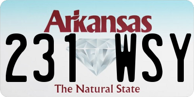 AR license plate 231WSY