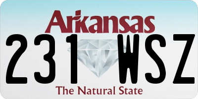 AR license plate 231WSZ
