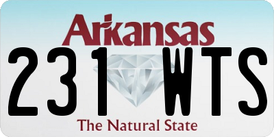 AR license plate 231WTS