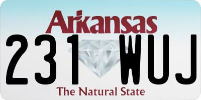 AR license plate 231WUJ