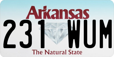 AR license plate 231WUM