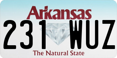 AR license plate 231WUZ