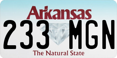 AR license plate 233MGN