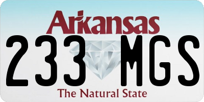 AR license plate 233MGS