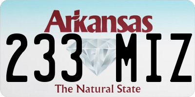 AR license plate 233MIZ