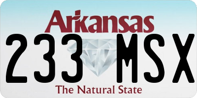 AR license plate 233MSX