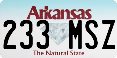 AR license plate 233MSZ