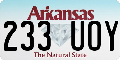 AR license plate 233UOY