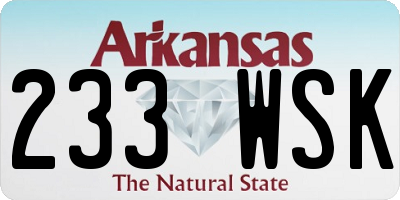 AR license plate 233WSK