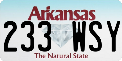 AR license plate 233WSY