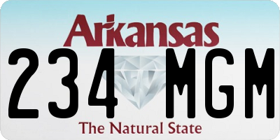 AR license plate 234MGM