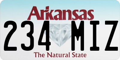 AR license plate 234MIZ