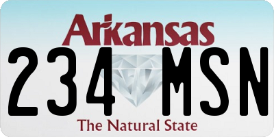 AR license plate 234MSN