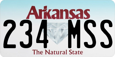 AR license plate 234MSS