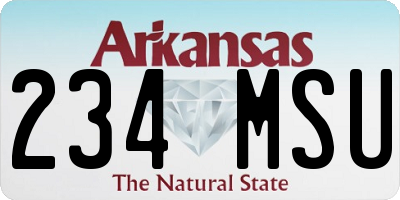 AR license plate 234MSU