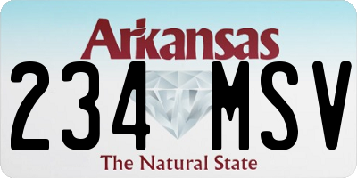 AR license plate 234MSV