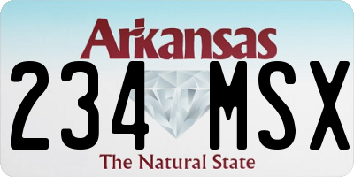 AR license plate 234MSX