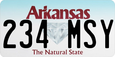 AR license plate 234MSY