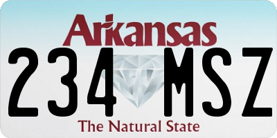 AR license plate 234MSZ