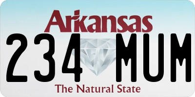 AR license plate 234MUM