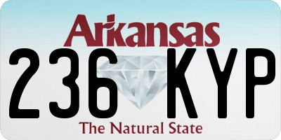 AR license plate 236KYP