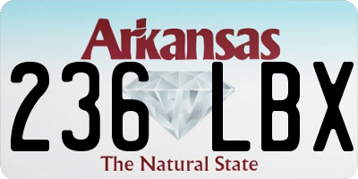AR license plate 236LBX