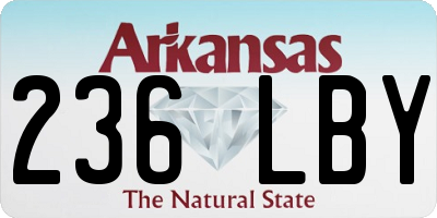 AR license plate 236LBY