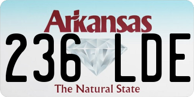 AR license plate 236LDE